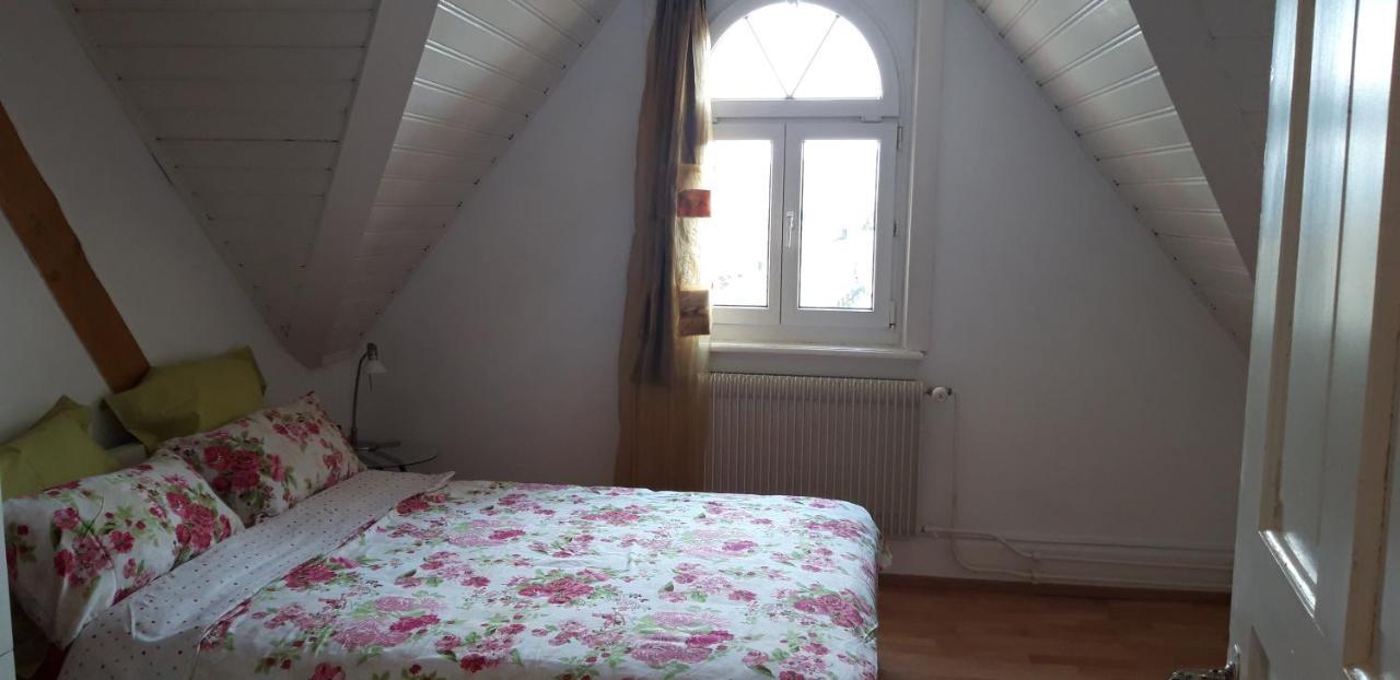 Ferienwohnung Stein Am Rhein Nahe Bahnhof Und Rhein Экстерьер фото